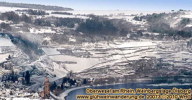 Oberwesel am Rhein, Weinbergslage lsberg